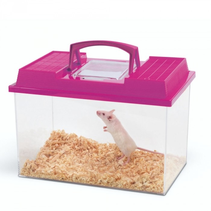 Savic ФАУНА БОКС (Fauna Box) террариум , 3 л., 20х14х14 см.